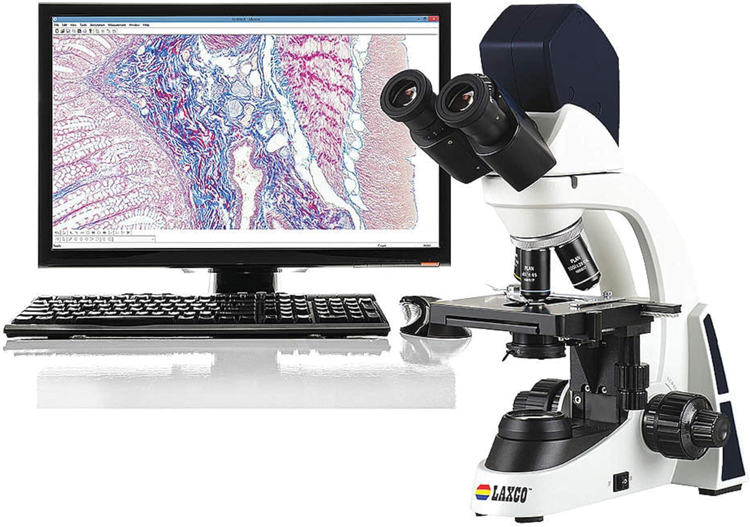 LMC-BF117-02D1 LMC シリーズ 1000 双眼鏡 ブライトフィールド 複合顕微鏡、3MP デジタルカメラ、4X/10