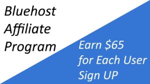 Read more about the article The Bluehost Affiliate Program: Earning With Excellence